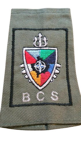 Bataillon commandement et - bataillon,