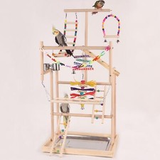 Aire de jeux pour perroquets