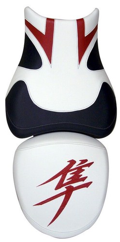 Suzuki 1340 gsxr hayabusa - hayabusa,
