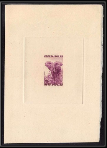 0456 epreuve artiste - 0456, d'artiste