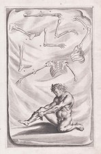 Pièces De Squelette Anatomie