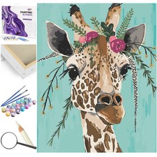 Peinture par numéros cadre en