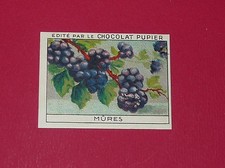 CHROMO PUPIER 1930 ALBUM