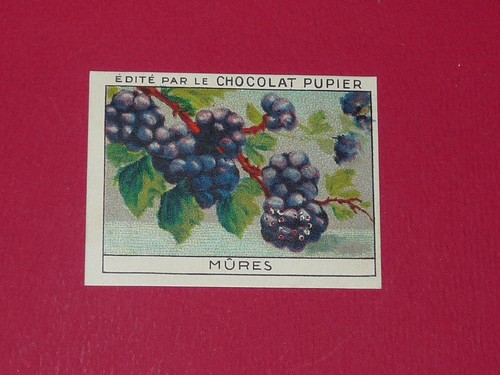 Chromo pupier 1930 album - chromo,