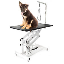 Table de toilettage hydraulique pliable Table de soins Chien Chat Grooming Table