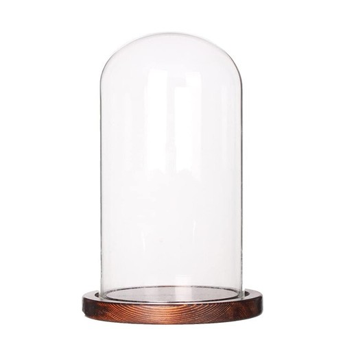 Cloche verre diamètre - cloche,