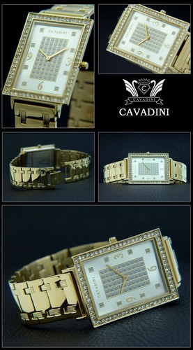 Cavadini montre hommes inox - cavadini,