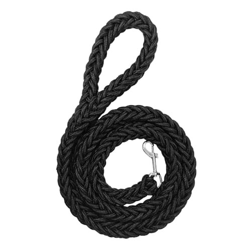 Laisse tresse solide - laisse,
