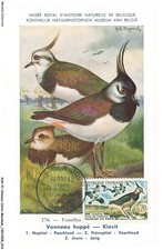 AUXP1-0009-OISEAUX-CARTE-MAXIMUM - VANNEAU HUPPE - KIEVIT - Musée royal d'his