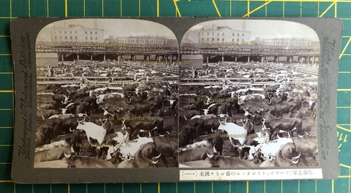 Carte photo stéréo - photo, underwood