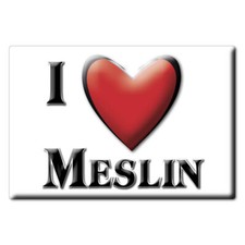 Aimant sur Meslin, Côtes