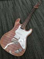 Guitare électrique ARIA PROII