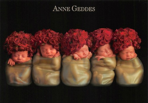 Carte postale anne geddes - anne,