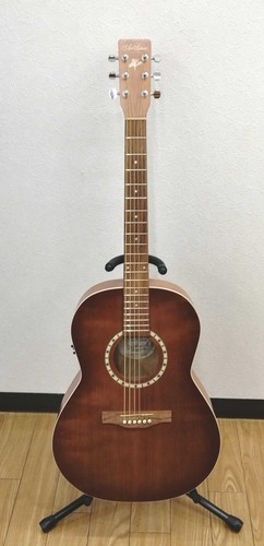 Guitare acoustique électrique
