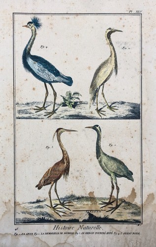 Gravure ancienne histoire - gravure, ancienne,