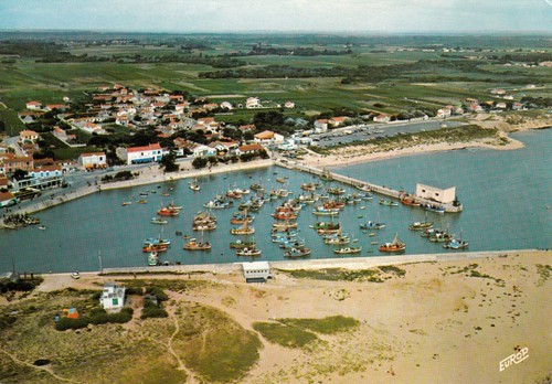 Carte postale 10cmx15cm - carte,