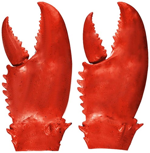 Valentoria funny lobster crab - funny,