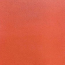 Morceau de cuir de vachette