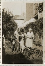 PHOTO ANCIENNE - VINTAGE SNAPSHOT - ANIMAL CHIEN NAIN DE JARDIN DRÔLE - DOG FUN