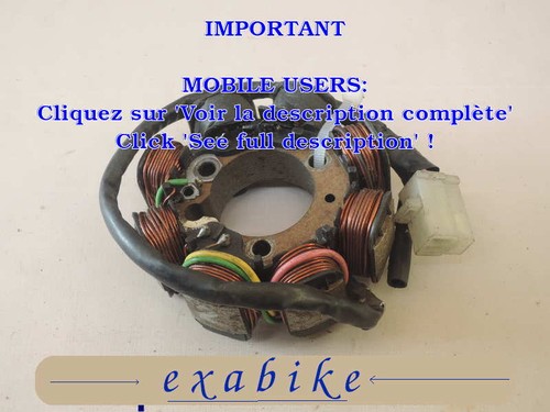Stator alternateur pour - d'alternateur,