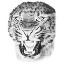 Bite You - Leopard  T Shirt You Choose Style, Size, Color 10717