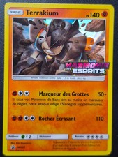 Carte Pokémon TERRAKIUM SM205