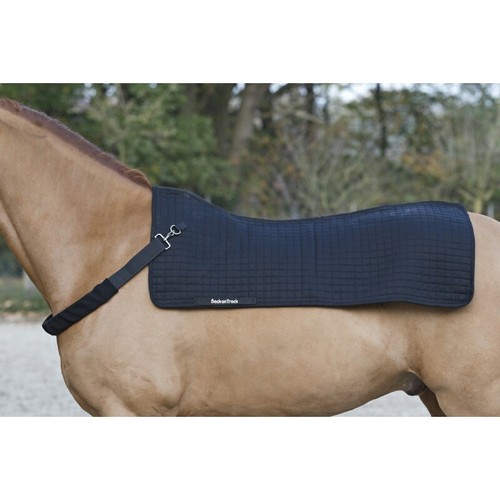 Back warmer - back, on