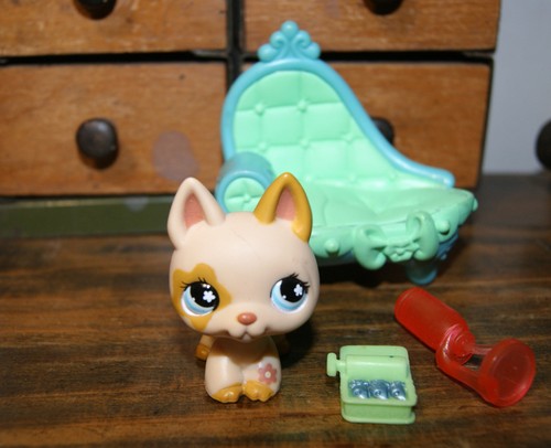 Littlest petshop chien 604 - littlest, n°