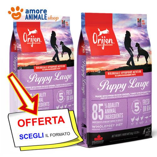 Orijen chien puppy large breed - chien,