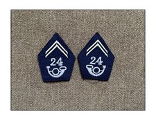 Pattes col 24e BCA Chasseurs