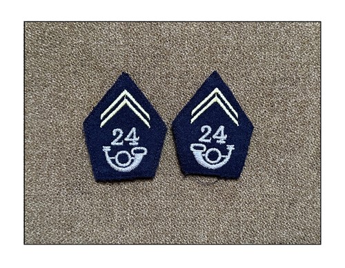 Pattes col 24e bca - bca, chasseurs