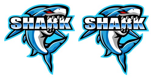 Stickers autocollant requin - autocollant,