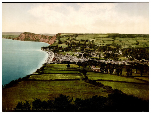 Angleterre dartmoor hount - angleterre.,