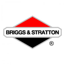 Genuine OEM Briggs & Stratton