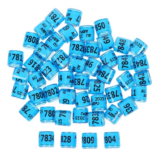 100 pcs bague - ,