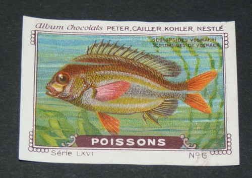 Chromo peter cailler kohler - peter,