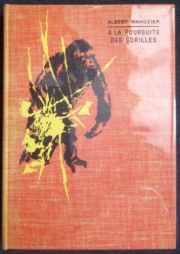 Poursuite des gorilles - a,