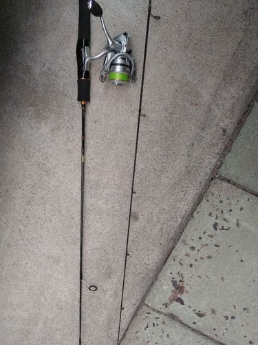Daiwa caldia 2004 60xul - 60xul, rod