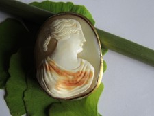Art Nouveau - Belle Broche Camée coquille - Brooch Cameo