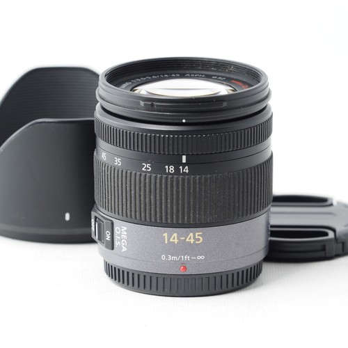 Panasonic lumix vario - g,