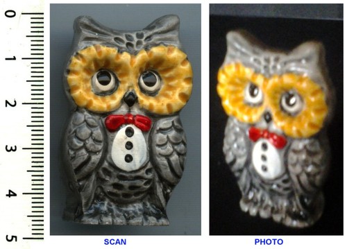 Collection chouette hibou - collection,