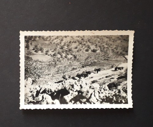 Photo ancienne guerre - photo,