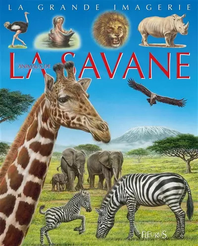 Grande imagerie les - imagerie,