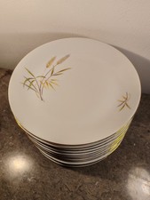 12 Assiettes Plates Porcelaine