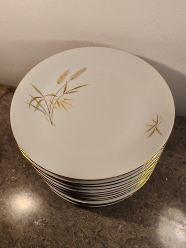 Assiettes plates porcelaine - assiettes,