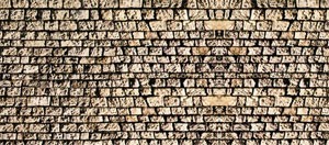 Noch 57740 feuille - noch,