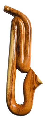 Travel didgeridoo wood - didgeridoo,