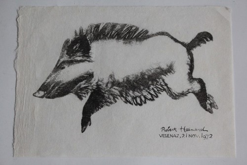 Robert hainard gravure sur - hainard,
