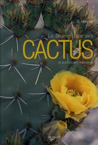 Grand livre des cactus et - livre,