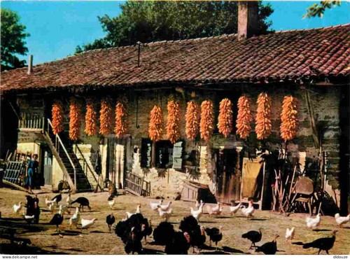 Carte postale ain - carte,
